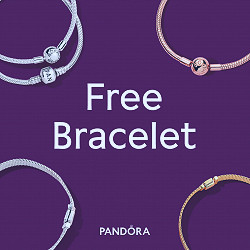 Pandora Bangle Promotion Best Sale, 51% OFF | www.bridgepartnersllc.com
